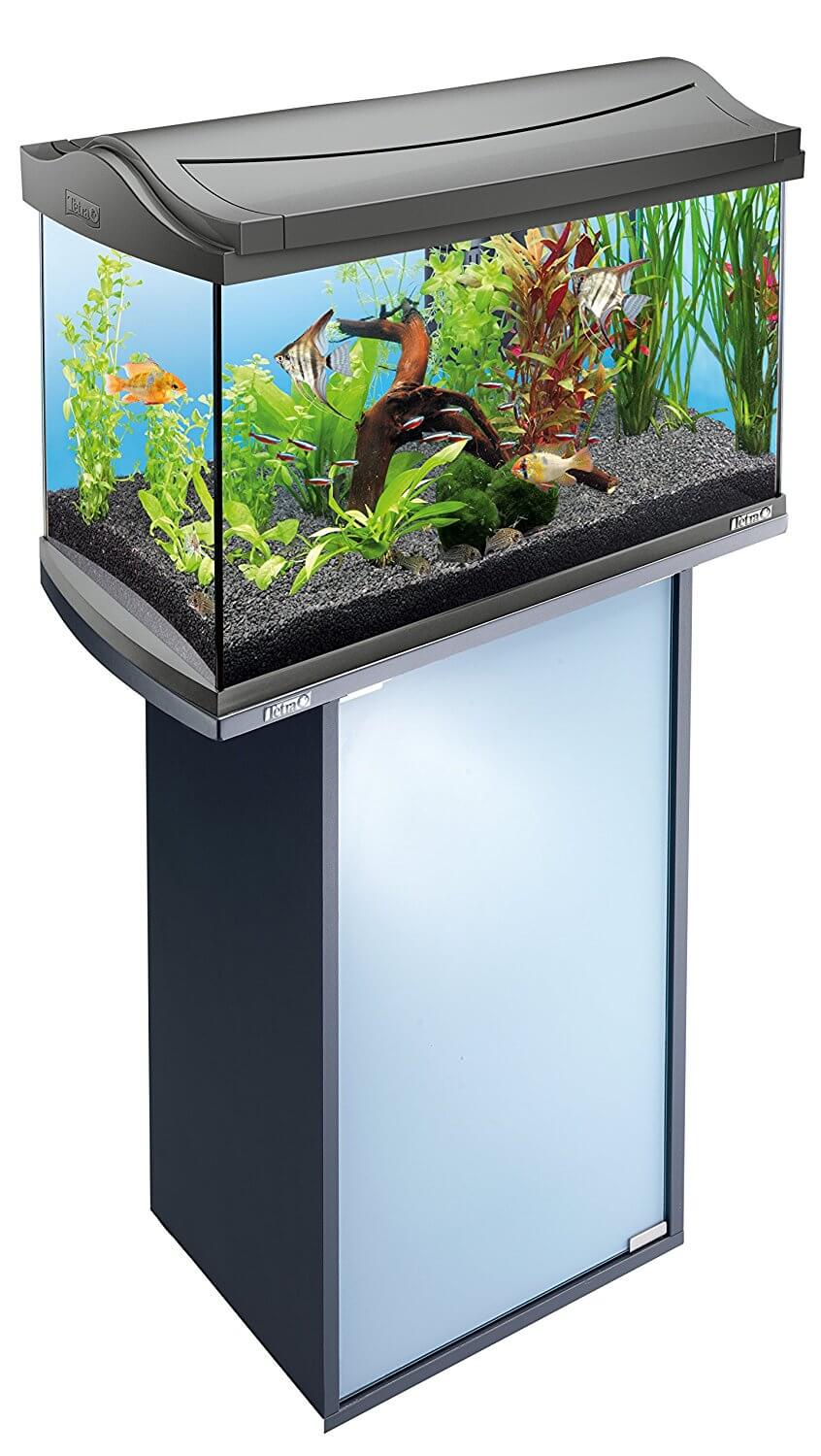 ᐅ Aquarium Unterschrank | Alles rund um Kosten, Aufbau, Dekoration