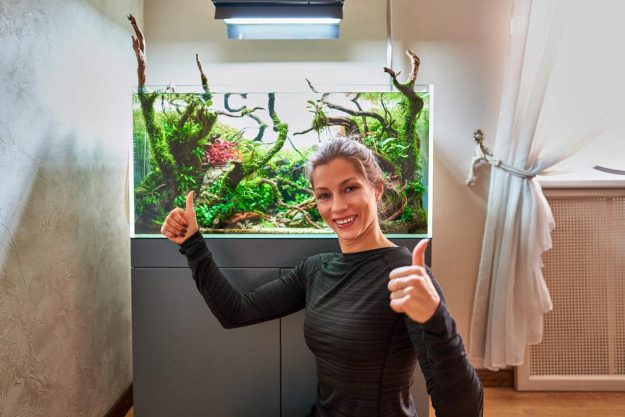 Aquarium einrichten Aquarium einrichten
